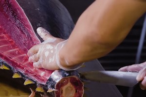 Master Butchery of a Whole Tuna on Display