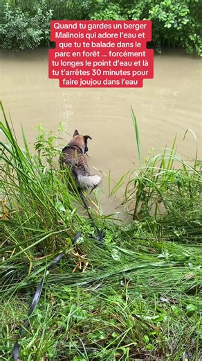 #chieneau @PatchGuard