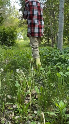 Cool tips to maximize camping fun 🏕 | 5-Minute Crafts GIRLY