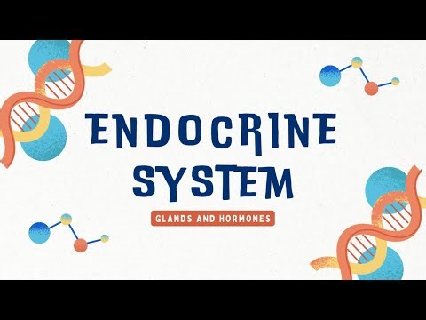 SCIENCE 10 QUARTER 3, WEEK 1: The Endocrine System: Glands and Hormones