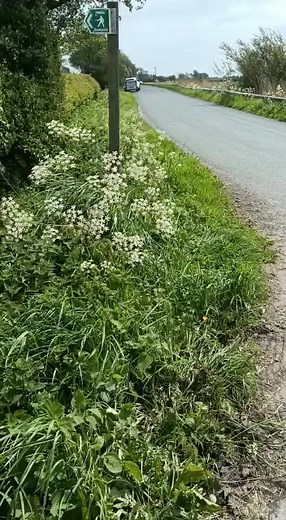 Timmy Mallett (@timmymallett)’s videos with original sound - Timmy Mallett