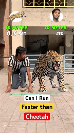 Can I run Faster than Cheetah 😨😰 | #run #challenge