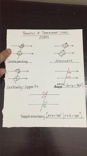 Parallel Line Angles Cut by a Transversal Line
