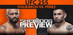 Preview: UFC 255 Main Card - Figueiredo vs. Perez