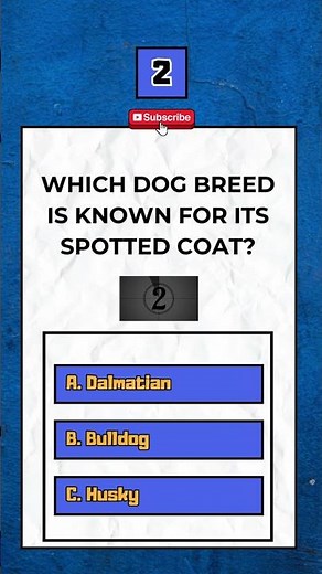 Dog Quiz 🐶🐾: Can You Answer All 5 Pup Questions?