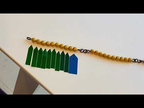 Linear Counting 100 Chain MONTESSORI mathematic Lesson