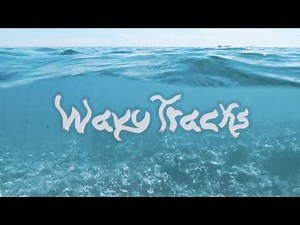 Post Malone - No Option (With Lyrics)