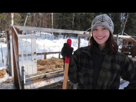 Greenhouse Rebuild After Winter Damage | Remote Alaska