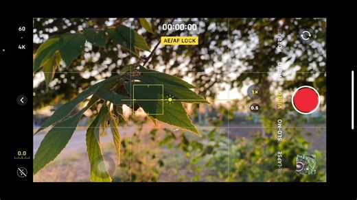iPhone 11 Color Grading Tutorial Using DaVinci Resolve