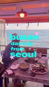 Busan Day Trip from Seoul in One Day 🚄🇰🇷