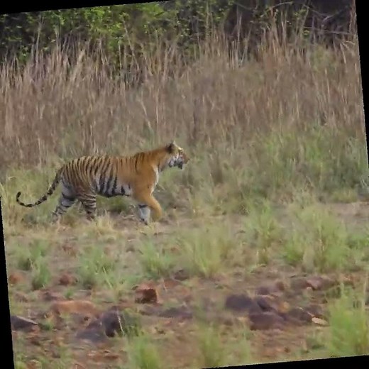 Spin a video online for FREE - Example Video - WEBM Converter