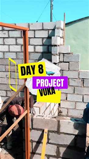 Building Flats Project Update - Day 8