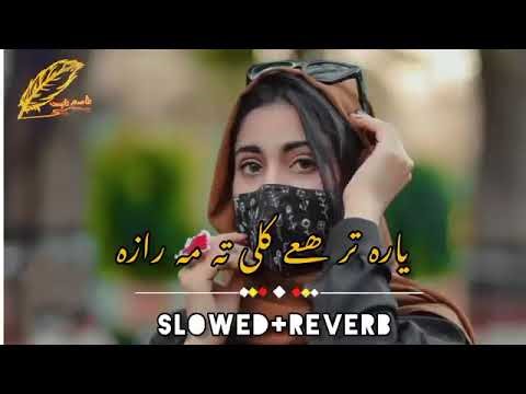 یار اگے گلی تو مرا پشتو سونگ #songsviarl #viarl 