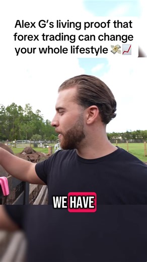 MindSetClips HQ on TikTok