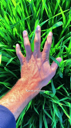 Sunset😳😱@mega #foryou #foryoupage #viral #fyp