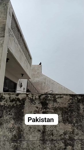 Pakistan vacation 5th day !! #pakistanvacation2023 #Pakistan #reels #PakistanZindabad | Jovy Librando Official