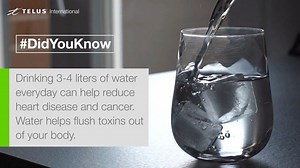 59K views · 28 reactions | Everyone knows that it's important to stay hydrated – but did you know these health #benefits of drinking water everyday? | TELUS Digital | Facebook