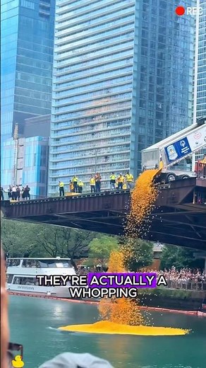 90,000 Rubber Duck Race – The winner goes home in a sports car!#rubberduck #duckrace #race #fyp