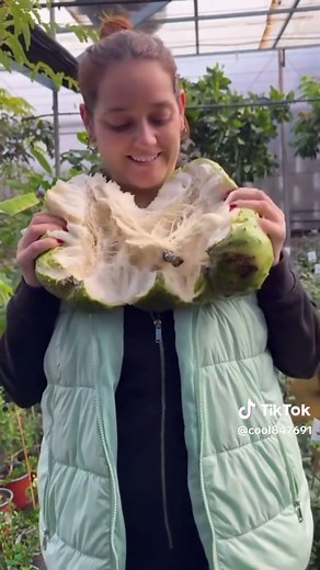 Exploring the Taste of Exotic Fruits
