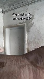 60K views · 5.7K reactions | Oui mais non. #entresesoreilles #cheval #equitation | Entresesoreilles | Facebook