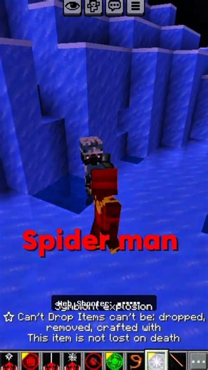 SPIDER MAN IN MINECRAFT