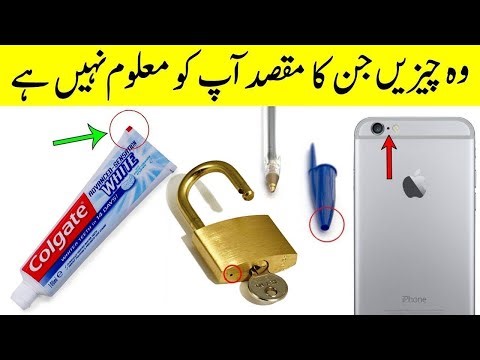 10 Amazing Facts | Interesting Facts| Informative videos | Mr Informative