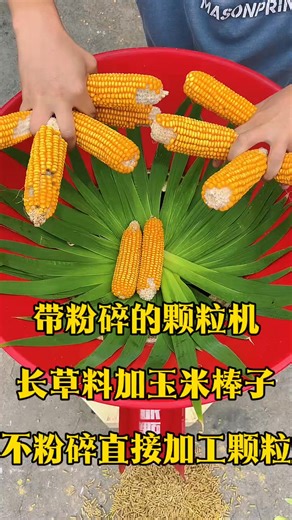 154K views · 1.4K reactions | Pellet machine with crushing, long grass and corn cobs are used to make pellets #feed pellet machine #pellet machine #pellet machine manufacturer | New Tecnology | Facebook