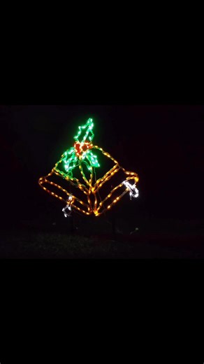 POV you visit Nights of Shimmering Lights in Dover Florida | Nights of Shimmering Lights