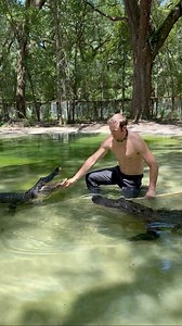 62K views · 1.9K reactions | “Can’t they bite through the stick?” is...