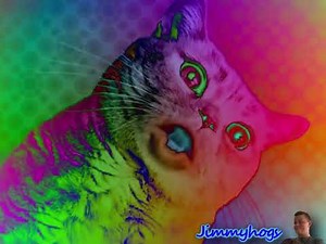 Preview 2 Numa Cat 2022 V2 Effects (Preview 2 Effects)