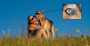 Rex Specs Accessories & Gift Cards