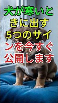 獣医師が教える“犬が寒いときに見せる5つのサイン”を今すぐご紹介します。#犬の寒さサイン #犬の冬対策 #犬の健康 #愛犬ケア #犬好きさんと繋がりたい
