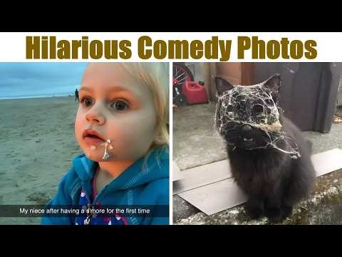 Hilarious (or Slightly Amusing) Comedy Photos to Brighten Your Day