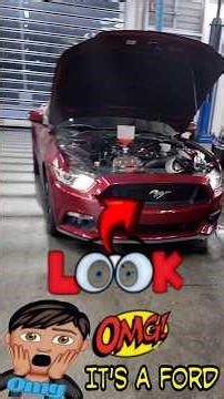 This Ford Mustang had a serious problem.