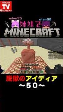 [50 Prison Break Ideas] Minecraft-loving sisters playing #toyjoytv #Minecraft #minecraftshorts