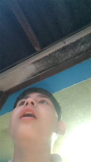 Videos de 😼superzings oficial 😼 (@superzings7) con “originalljud - bigchungus479”