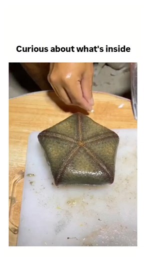Thetrandlab48 on Instagram: "The video depicts a hands-on dissection of a live cushion starfish (Culcita novaeguineae), exposing its coelomic cavity and digestive structures, a common educational tool in marine biology despite ethical debates on live specimen use. - With 1.5 million views and mixed reactions, the post ignites discussions on animal welfare, as starfish lack centralized brains but exhibit nociception, per studies in the Journal of Experimental Biology, while their regeneration all