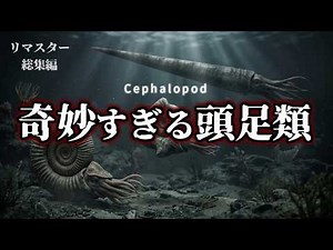 【リマスタ総集編】頭足類の進化史｜アンモナイトから巨大捕食者まで異形の系譜