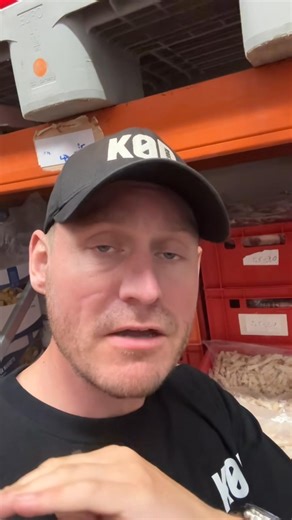 👍 JA TAK – Stegt kyllingefilet skåret i skiver! 🍗 Gør hverdagsmaden nem og lækker med vores stegte kyllingefilet i skiver – lige til at bruge! Perfekt i sandwich, wraps, salater eller varme retter, når det skal gå stærkt men stadig smage godt. Denne kylling er lavet i restaurantkvalitet, så du får den samme saftige og møre smag, som du kender fra café eller frokostbuffet – bare hjemme i dit eget køkken. Et hit hos både børn og voksne, der elsker det enkle og velsmagende. 👉 Nemt. Smagfuldt. Bø