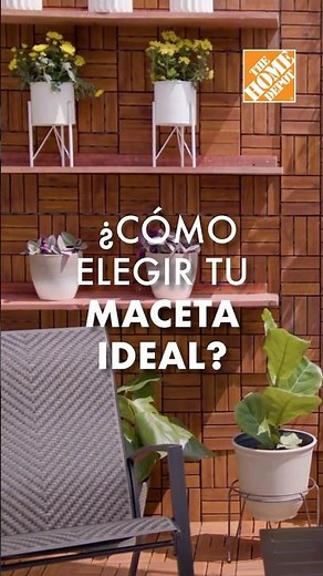 ¿Cómo elegir tu MACETA IDEAL? 🪴