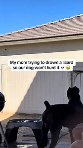 Today’s adventure with Mom & Bane 😩 | Raising Bane