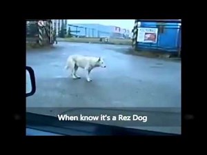 Rez Dog Dancing