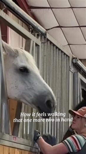 Caring for Sweetmares: A Barn Life Experience
