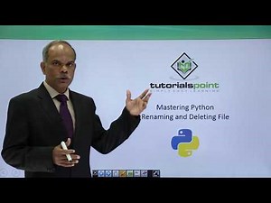 Python - Renaming & Deleting File