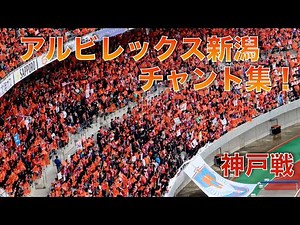 アルビレックス新潟 神戸戦 チャント集！
