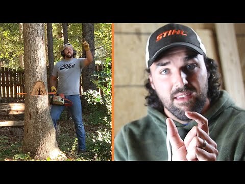How to cut down a rotten tree... this was SKETCHY
