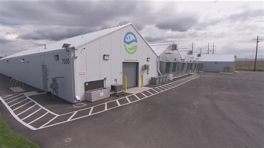 Inside Ag: Idaho's year-round farm uses water and fish to produce food