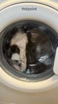 Hotpoint WMJLL742 washing machine || Fast wash 60’ wash action