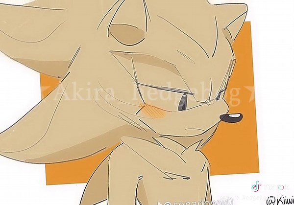 Sonadow Cinderella: A Unique Comic Edit