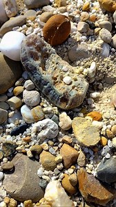 very beautiful crystal stone that i found in gold mine #gemstones #agate #diamond #jade #petrifiedwood #fyp #fypreels | Rimba Story